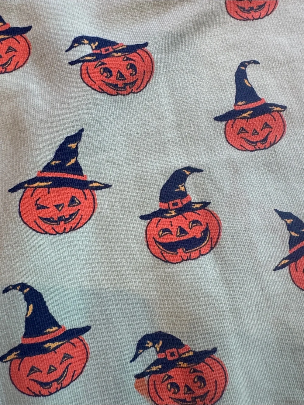 Beaufort Bonnet Mint Green Sweatshirt with Orange Pumpkin Print